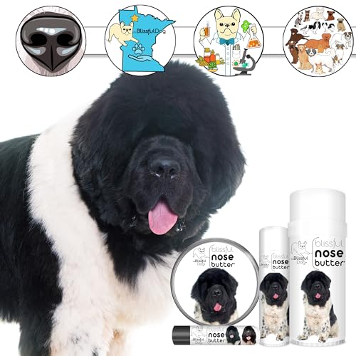 Image of The Blissful Dog Landseer Newfoundland Nose Butter