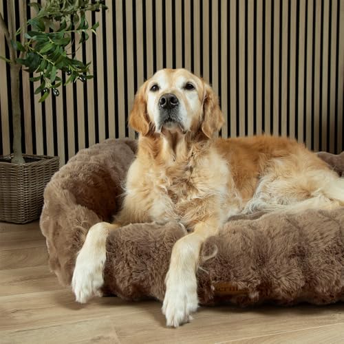 Image of Scruffs Luxury Alpine Box Bed For Dogs (XL)