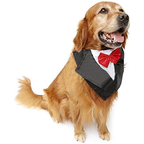 Pañuelo de Boda para Perro Grande NACOCO Cover