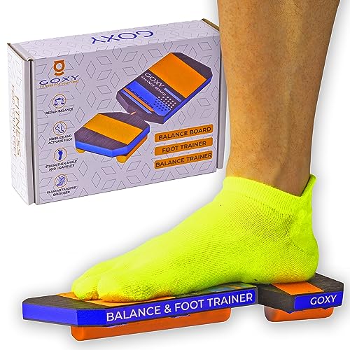Top 10 Best Balance Boards For Adult Reviews & Buying Guide Katynel