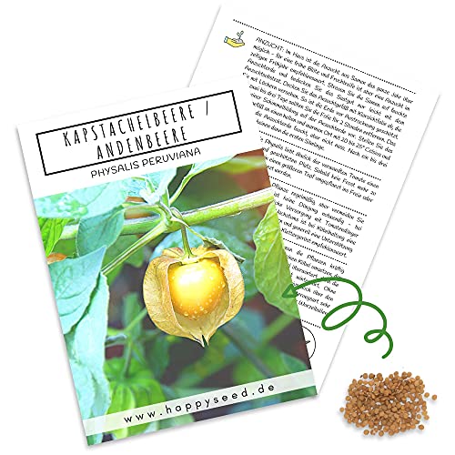 Physalis Samen (Physalis peruviana) - Exotische Kapstachelbeere Andenbeere ideal für die Anzucht im Garten, Balkon oder Terrasse