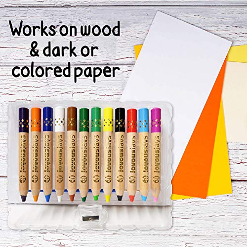 Joyousjays 3-In-1 Jumbo Colored Pencils For Kids (Ages 3+) -12-Color Pack - Non Toxic And Washable - Wax Crayon And Watercolor, Coloring Pencils Set For Toddlers With Brush And Sharpener #TOP5