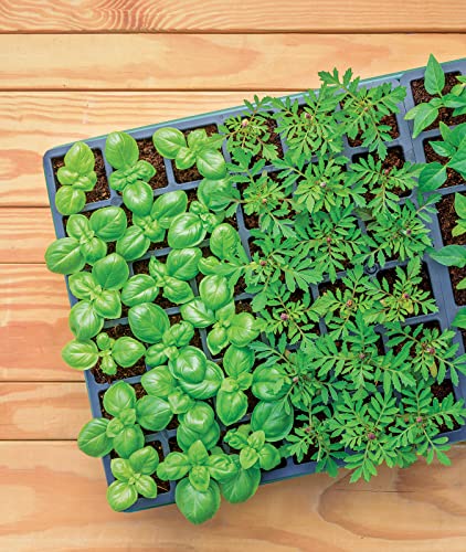 Burpee Self-Watering Seed Starter Tray, 72 Cells #TOP5