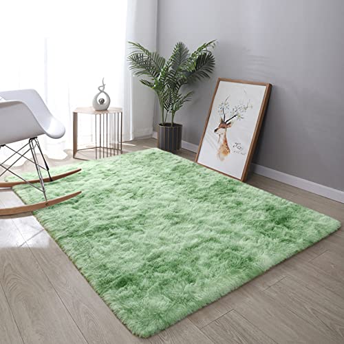 Dweike Large Fluffy Area Rugs For Bedroom Living Room, 5X8 Feet Indoor Carpets For Boys Girls Teenagers And Adults, Tie-Dyed Fuzzy Rugs, Super Soft Kids' Rugs, Nursery Decor Rugs, Light Green #TOP6