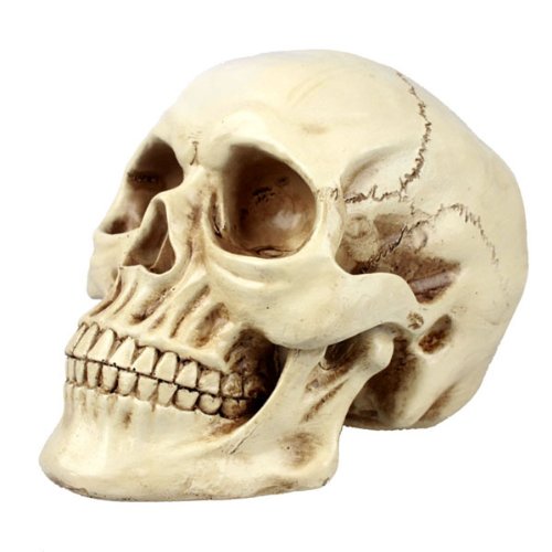 ガンダム史上最悪の死にシーン ニコニコ動画