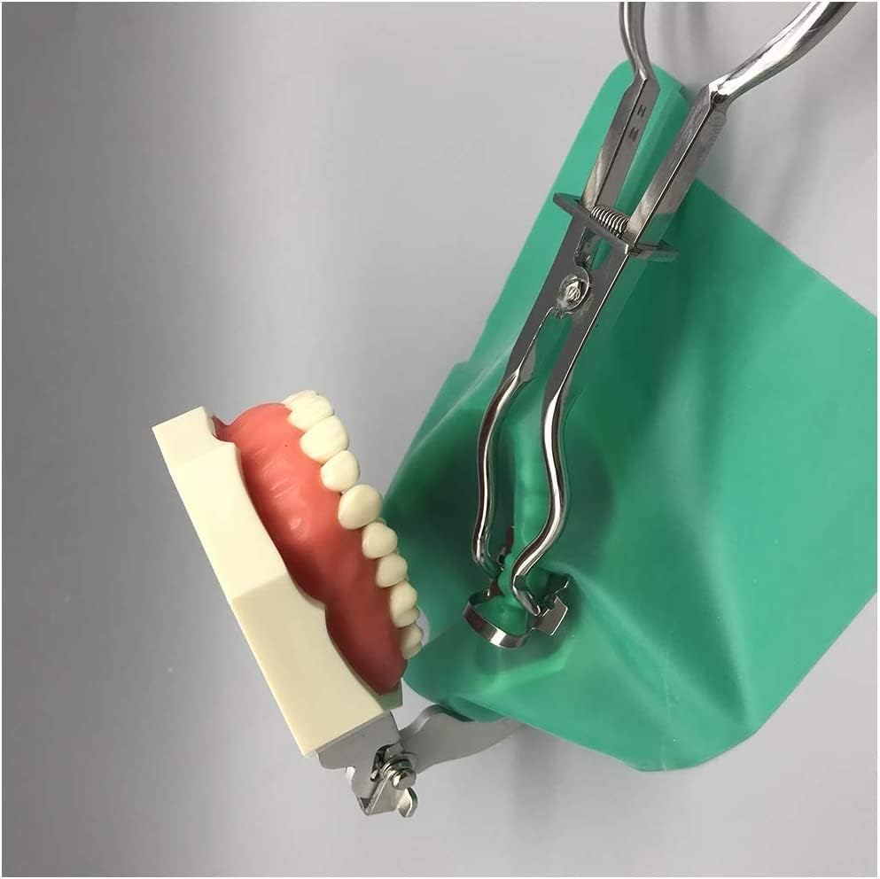 Zestaw Narzędzi Do Ćwiczeń Z Gumową Koferdamem, Zestaw Do Endodoncji Stomatologicznej Z Modelem Zębów Do Egzaminu Na Lekarza Stomatologa. Edukacja Naukowa.