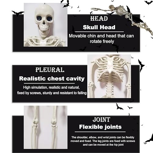 Fiorky Halloween Wiszący szkielet całego ciała z ruchomymi przeami 16/24 cali Dekoracja szkieletu całego ciała Upiorny motyw festiwalowy Cmentarz Wystrój nawiedzonego domu (40 cm 4 szt.)