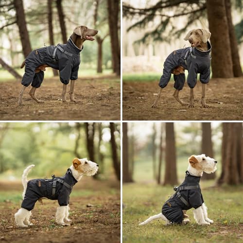 PAWBOSE Regenmantel Hund mit Geschirr Wasserdicht für Kleine, Mittlere und Große Hunde, Reflektierender Regenfester Hunderegenjacke für Sommer, Schöne Hübsche Hundekleidung, 4 Beine, Grau, 2XL