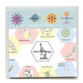 Amazon.co.jp: STUDY HOLIC クリアカバー付箋【微生物学】ふせん