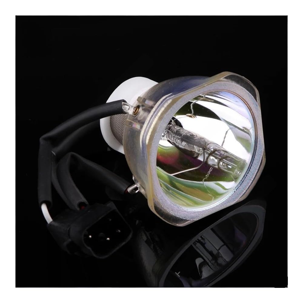 Ampoule nue NEC WT61LP pour vidéoprojecteur WT610 et WT615