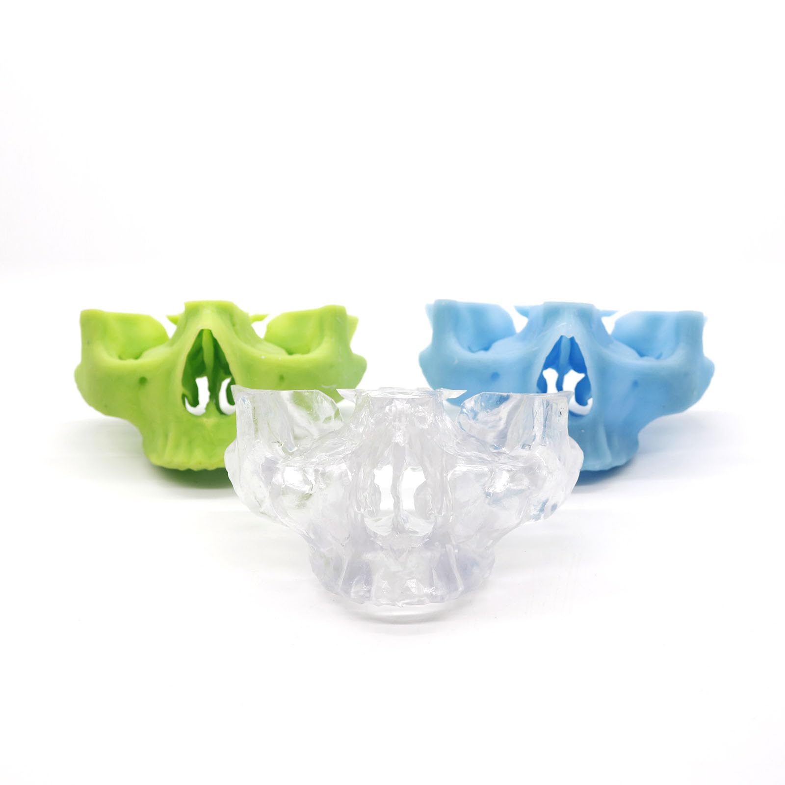 Modello di Pratica per Impianti Dentali Modello di Pratica di Perforazione dello Zigomo e del Pterigoide per Studenti e Professionisti,Blu,12cm
