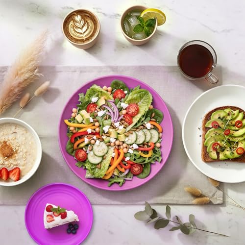 Image of Wheat Straw Dinnerware Sets 40 PCS Bowl and Plate Sets With Cup Dishes Set for 8 Unbreakable Dish Sets Microwave Safe Plates Dinner Bowls Drinking Glasses With 4 Color - Flower Color