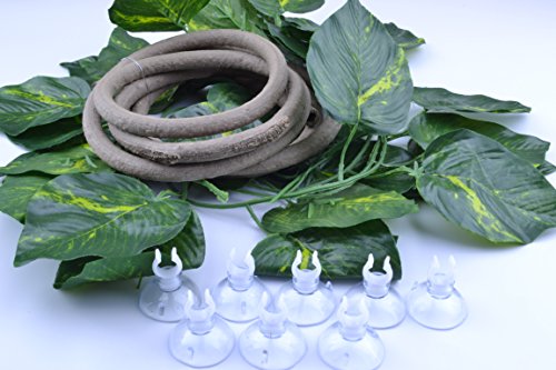 pranovo Reptile Climbing Branch Jungle Vine Terrarium Vines Flexible Pet Habitat Decor with Suction Cups and Realistic Vine Leaf for Crested Gecko Lizard Spider Scorpion Snake Other Small Animals