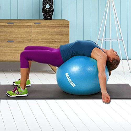 Yogu Stability Exercise Ball 65cm Yoga Balance Ball Birthing Ball with Air Pump Anti-Slip & Anti-Burst Supports 2000lbs Great for Yoga Pilates Abdominal Workout Fitness Ball and Office Chair