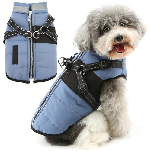 Zunea Kleine Hunde Wintermäntel Welpenjacken mit Geschirr Reflektierende Verstellbare Reißverschluss Hundemäntel Weste Kleidung Fleece Gefütterte Schneejacke XS/S Größe Haustier Bekleidung Blau S Zunea Kleine Hunde Wintermäntel Welpenjacken mit Geschirr Reflektierende Verstellbare Reißverschluss Hundemäntel Weste Kleidung Fleece Gefütterte Schneejacke XS/S Größe Haustier Bekleidung Blau S