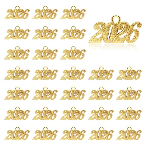 25 Pcs Metal Year Signet 2026 DIY Pendant Charms for 2026 Year Charms Graduation Decor 33x18mm Alloy 2026 Signet Pendant for Tassel Keychains Bracelets Necklaces Earring Jewelry Making Accessory