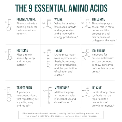 Triquetra Health TH_PL_AMINO Plant Aminos Organic Essential Amino Acids (Eaas) & Bcaa thumb #6
