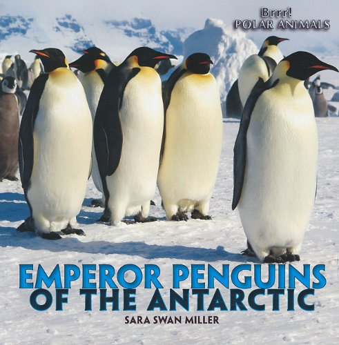 Emperor Penguins of the Antarctic (Brrr! Polar Animals)