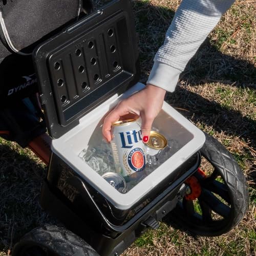 Image of Bag Boy Quad Pro Disc Golf Cart