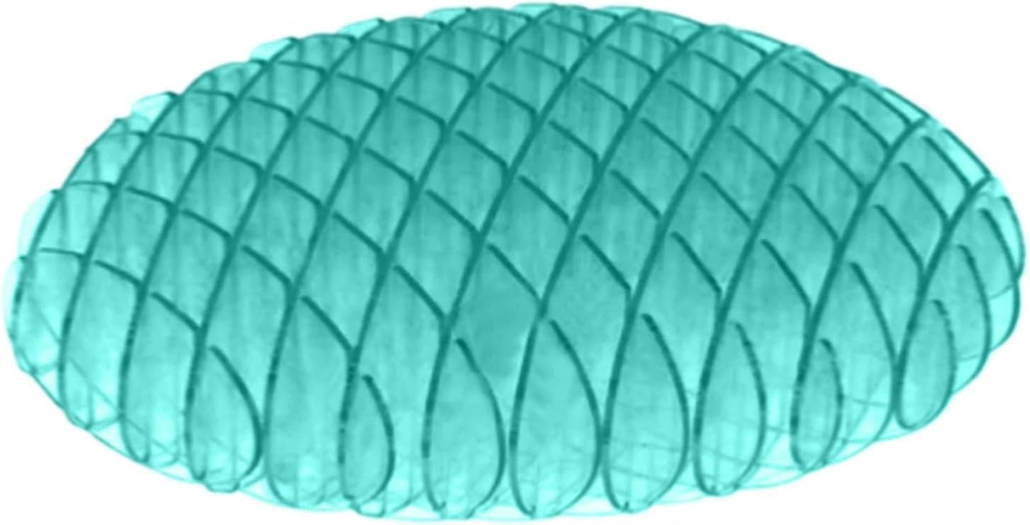 Lake Blue Popping Worm Stretchy Toys Fidget Worm Toy Worm Fidget Fidget Worm Toy, Funny Elastic Expanding Worm Toys To Exercise Wrist, Sensory Stress Relief Toy