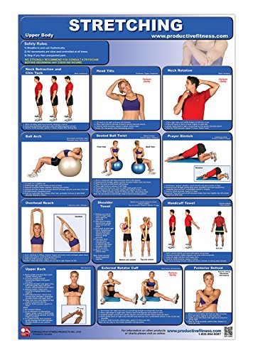 Stretching-Upper Body Laminated