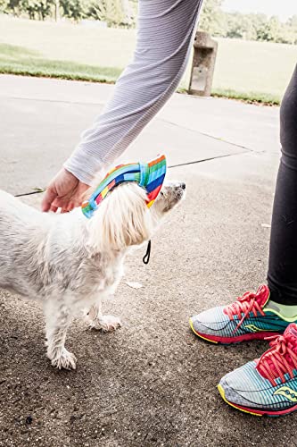Pet Life ® Colorfur Rainbow Dog Hat With Uv Coverage Protection - Brimmed Canopy Provides More Shade Than A Dog Banadana - Features Ear Holes And Adjustable Jaw-Strings - Great Worn With Dog Clothes #TOP4