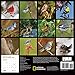 National Geographic: Backyard Birds 2023 Wall Calendar