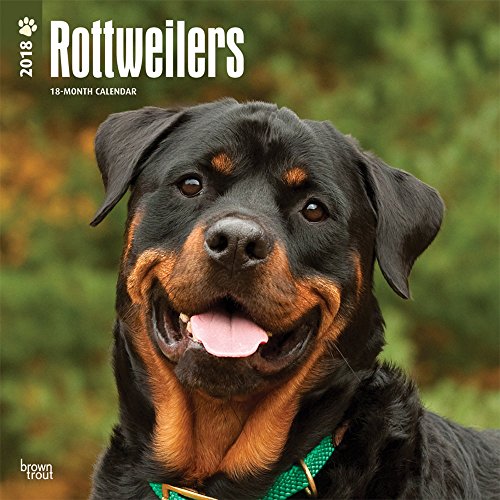 Rottweilers - Rottweiler 2018 - 18-Monatskalender mit freier DogDays-App: Original BrownTrout-Kalend Rottweilers - Rottweiler 2018 - 18-Monatskalender mit freier DogDays-App: Original BrownTrout-Kalend