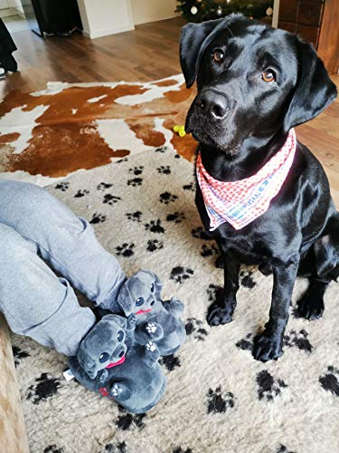 corimori – Buddy der Labrador, Hunde Plüsch-Hausschuhe für Kinder und Erwachsene, EU Einheitsgröße 34 bis 44 (dunkelgrau)