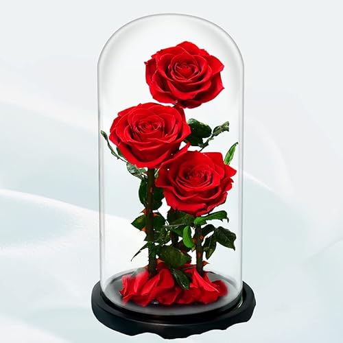 Jetoday Rose Eternelle sous Cloche, Cadeau Femme, Cadeau Anniversaire, Cadeaux Roses pour Elle, Cadeaux Uniques pour Anniversaire - pour Mariage Bureau Maison Décor Cover
