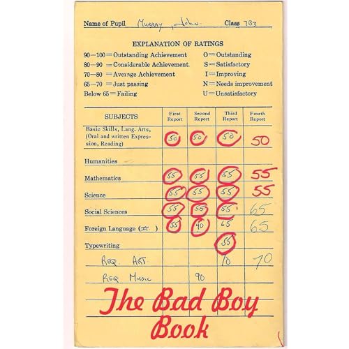 the Bad Boy Book Audiolibro Por John Murray arte de portada