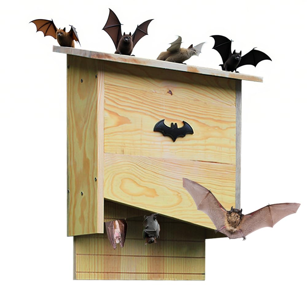 Large Solid Wood Bat House Box - Double Chamber Wildlife Habitat | Pre-Drilled Mounting Kit for Wall/Tree or Siding | Weather-Treated Backyard Design