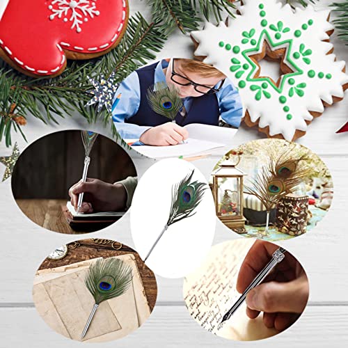 Penne a sfera piuma d'Oca Pennino calligrafia