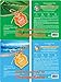 【Orangeroses】 100 Pcs Combo Pack, Premium Korean Essence Facial Mask Sheet (10 Types x 10 pcs)