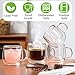Pludyat 4 Pack Double Walled Glass Coffee Mugs, 16 oz Large Insulated Clear Coffee Cups with Handle, Cappuccino Mug for Espresso, Latte, Americano, Tea Bag, Beverage, Heat & Cold Resistant