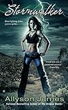 Stormwalker (Stormwalker Series, Book 1)