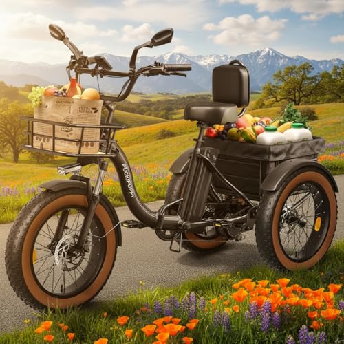 Electric Tricycle for Adults, 960W Max Rear Motor Electric