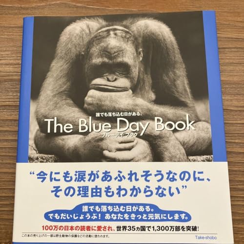 ブルーデイブックのサムネイル
