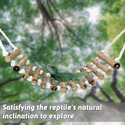 VCEPJH Ponte de réptil para terrário, pacote com 2, escada de escalada de dragão, barbudo, de madeir
