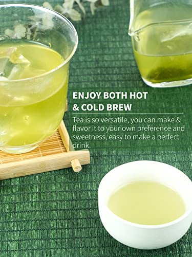 Teelux Matcha Green Tea Bags, Classic Premium Japanese Matcha + Sencha Green Tea, Super Antioxidant, Zero Calories, Caffeinated, 100 Count #TOP3