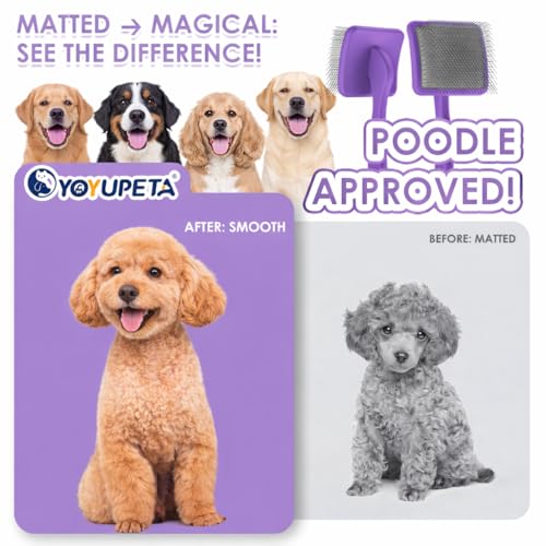 Image of Large Dog 3 in 1 Grooming Kit, Extra Long Pin Slicker Brush Purple | Ideal for Goldendoodles, Poodles; premium wooden handle; undercoat rake; removing thick mats; tangle deshedding
