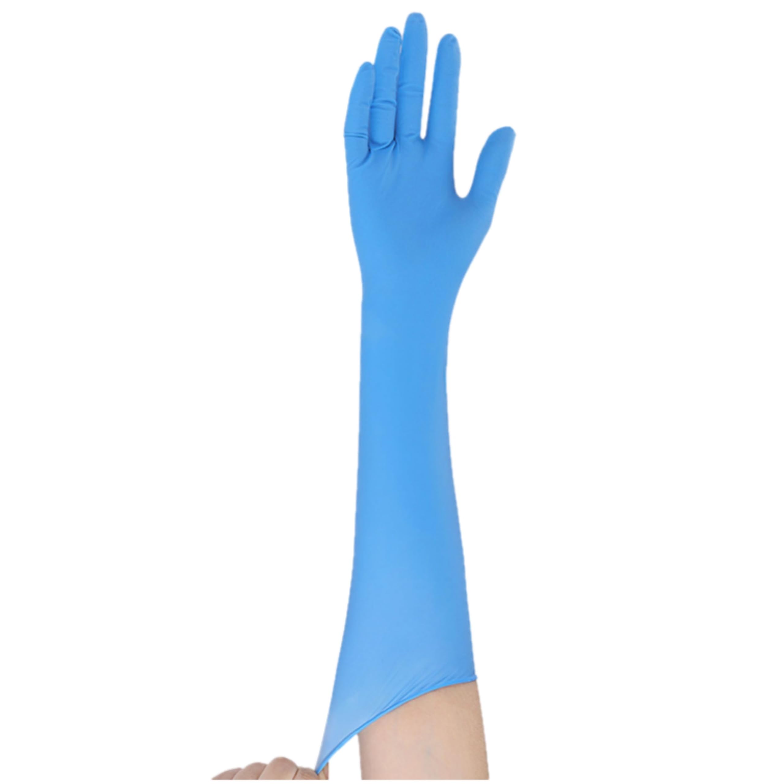 Amazon.co.jp: [STARDAY] 12-13:使い捨てニトリル手袋クラス1000 （白