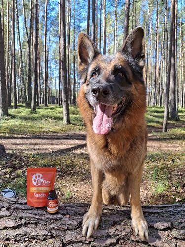 Dr. Flex Gelenktabletten Hund 110 hochdosierte Komplex-Kapseln mit Glucosamin Hund, Chondroitin, MSM, Kurkuma, Hyaluronsäure, Piperin für Knochen Gelenke Knorpel Senioren aktive Hunde