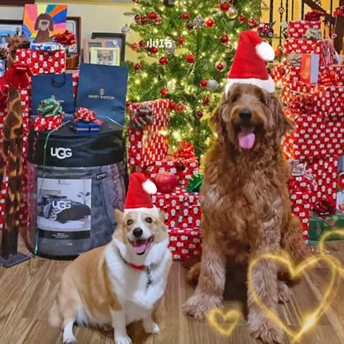 ANIAC Chapéu de Natal para cães médio e grande traje de Natal chapéu de Papai Noel para cães fantasi