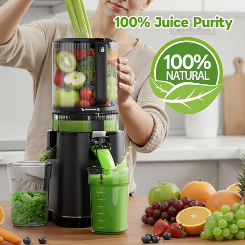 Automatic Cold Press Juicer Machine