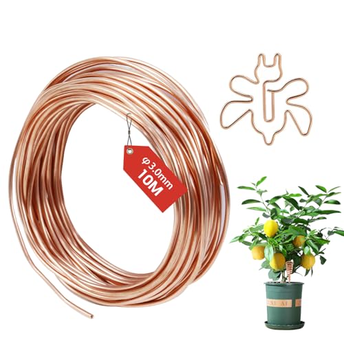 FIFIBANG Fil de Cuivre Émaillé 3mmX 10M, T2 Fil de Cuivre Nu, Fil de cuivre isolé Pur pour Soudure, Appareil, Artisanat DIY, Solénoïde