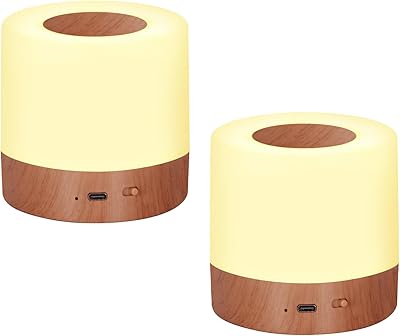LHYueTong 2 Pack LED Touch Bedside Table Lamp,13 RGB Colors & 5 Brightness, USB Rechargeable, Remote Control Dimmable Night Light with RGB Color Changing,Portable Lamp for Baby, Bedroom,Outdoor