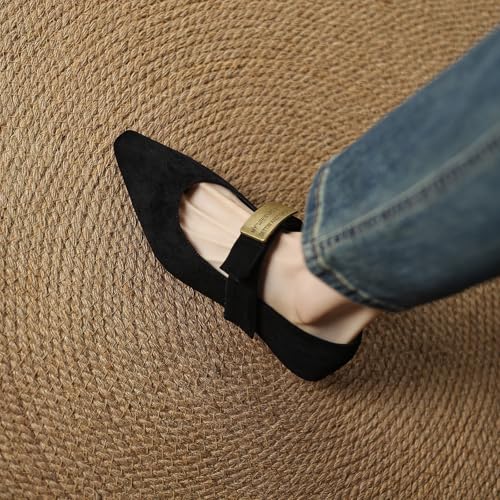 Cozivwaiy Mary Janes Shoes Women Soft Ballet Flats Comfortable Pointed Toe Buckle Strap Business Casual Shoes 6