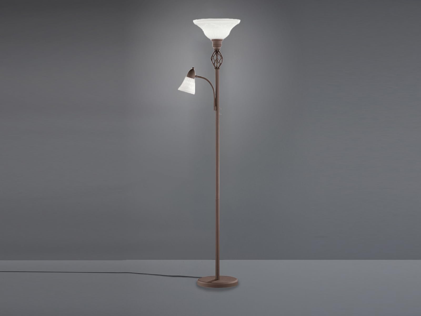 Trio Leuchten 4602021-24 Lampa podłogowa Metal/szkło matowe 40 W E27 Rdza