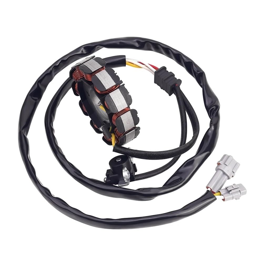 Kit de Bobina de estator de generador para Motocicleta Road Passion para Yamaha WR250F WR 250 F 5UM814100900 5UM814103100
